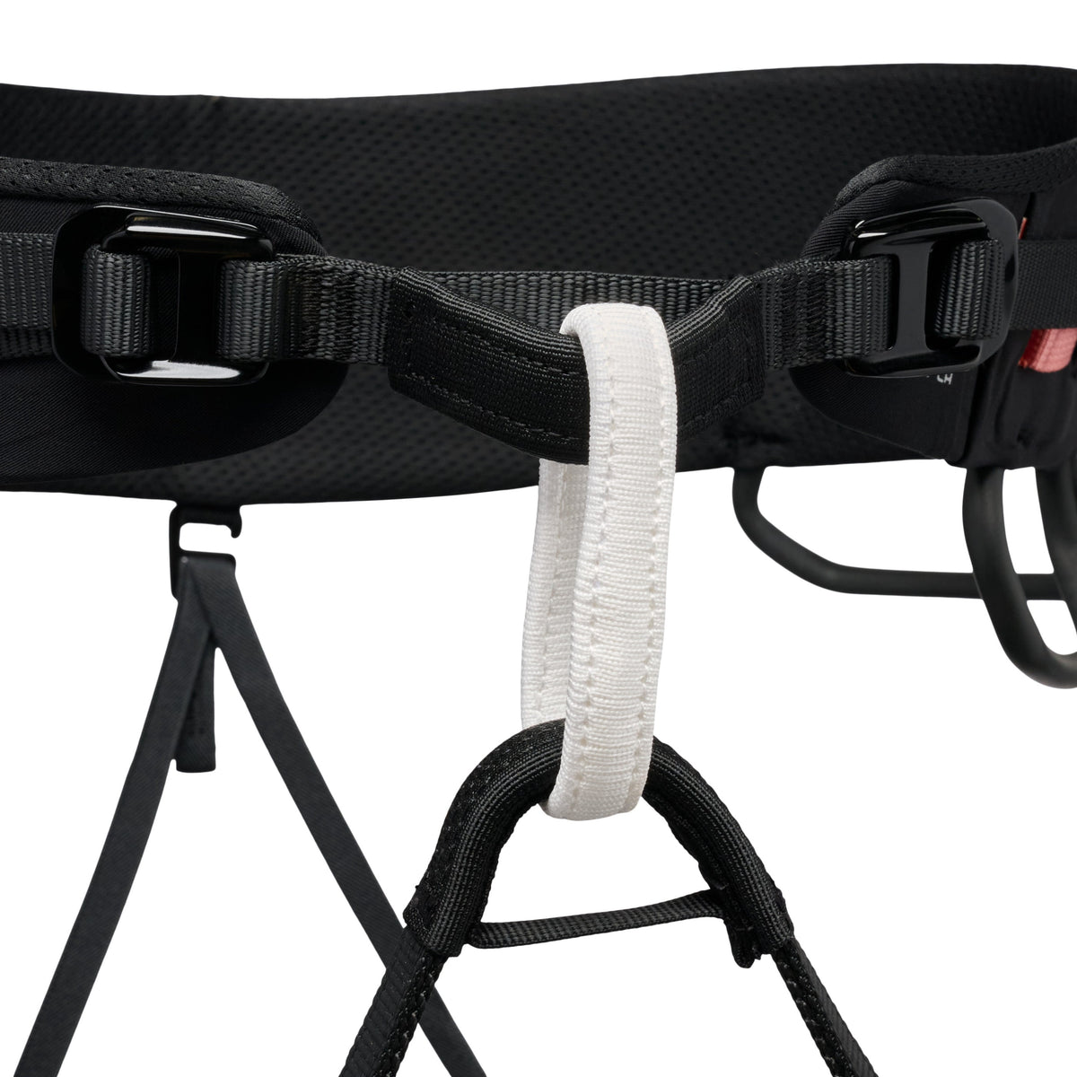 Women's Solution Guide Plus Harness | Black Diamond Trending