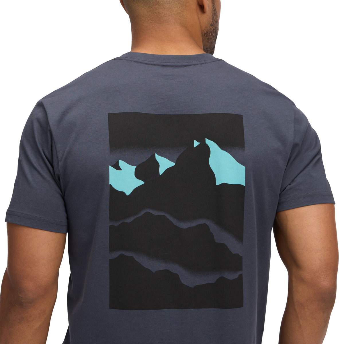 Men's Mountainscape Short Sleeve Tee | Black Diamond Essential