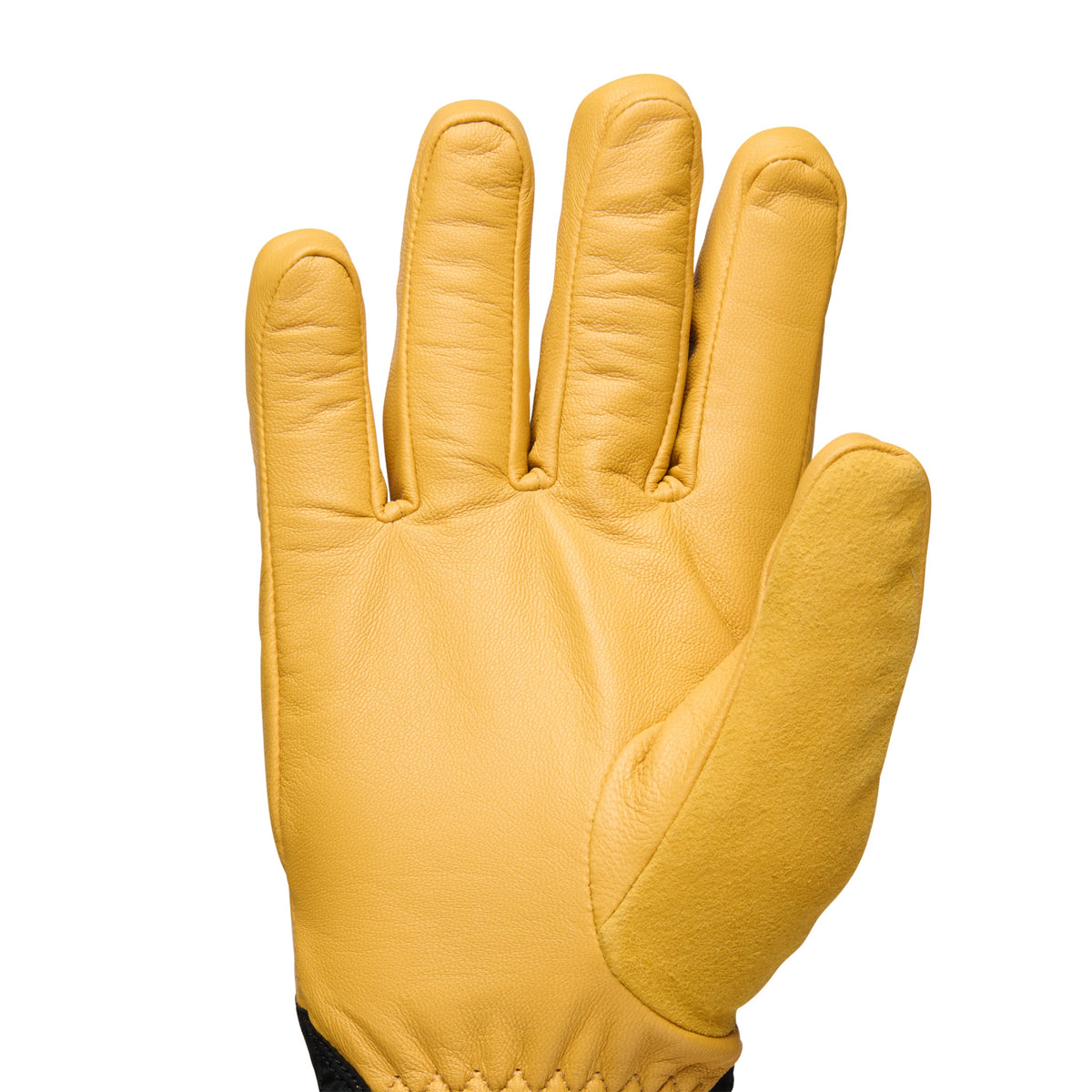 Tour Gloves | Black Diamond Essential