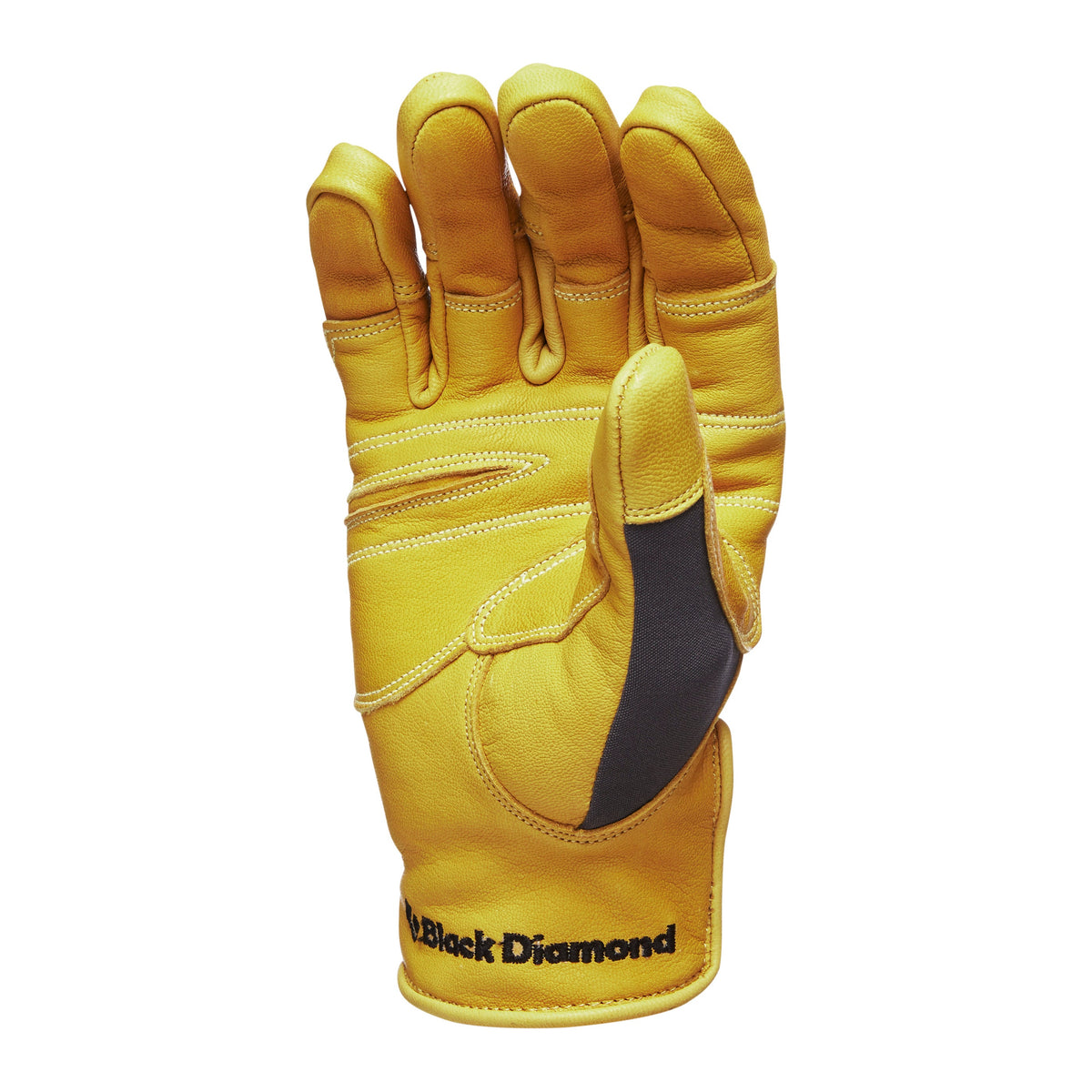 Transition Gloves | Black Diamond Exclusive
