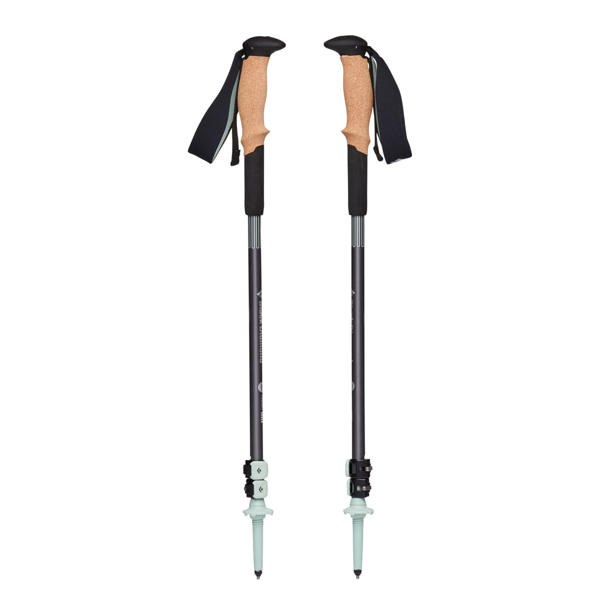 Pursuit Shock Trekking Poles | Black Diamond Best Seller