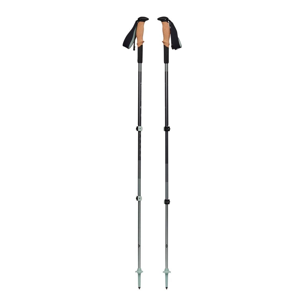 Pursuit Shock Trekking Poles | Black Diamond Best Seller