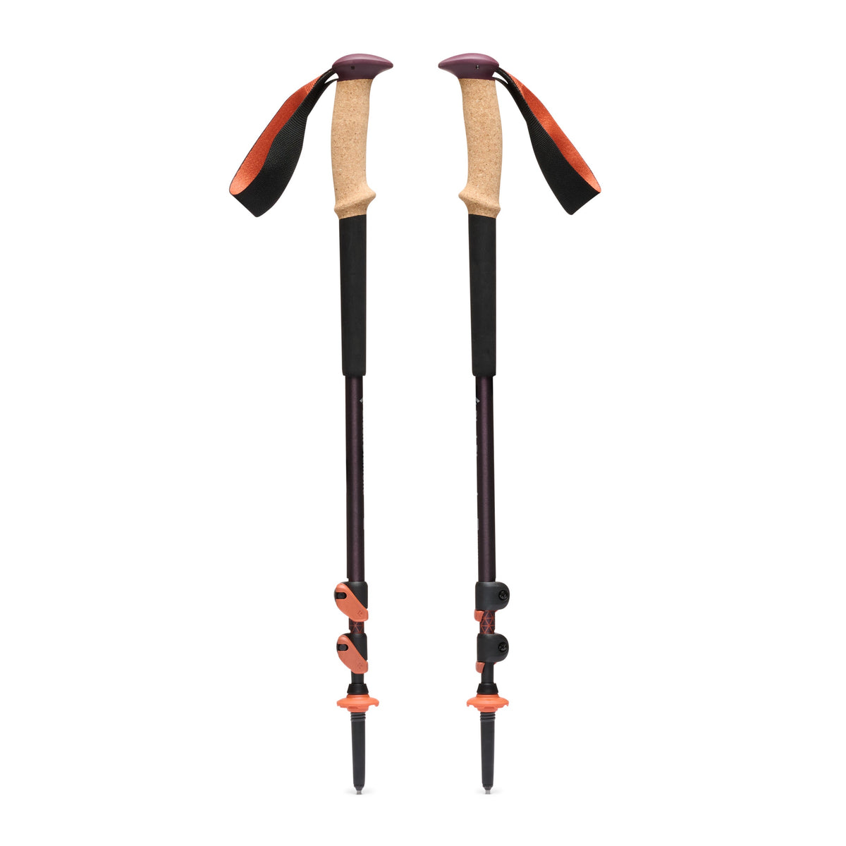 Trail Cork Trekking Poles | Black Diamond Recommended