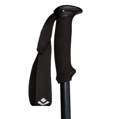 Explorer 2 Trekking Poles | Black Diamond Trending