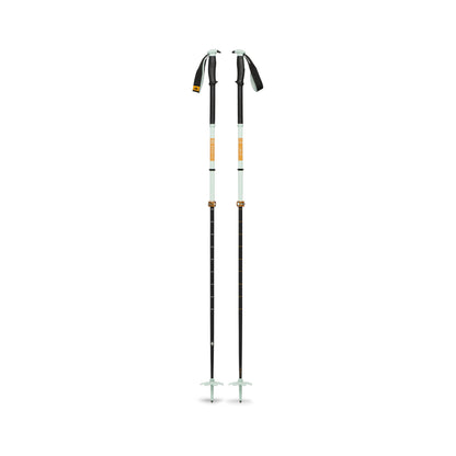 Traverse Pro Ski Poles | Black Diamond Everyday