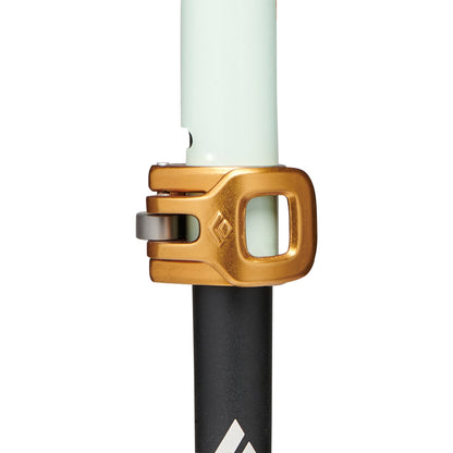 Traverse Pro Ski Poles | Black Diamond Everyday