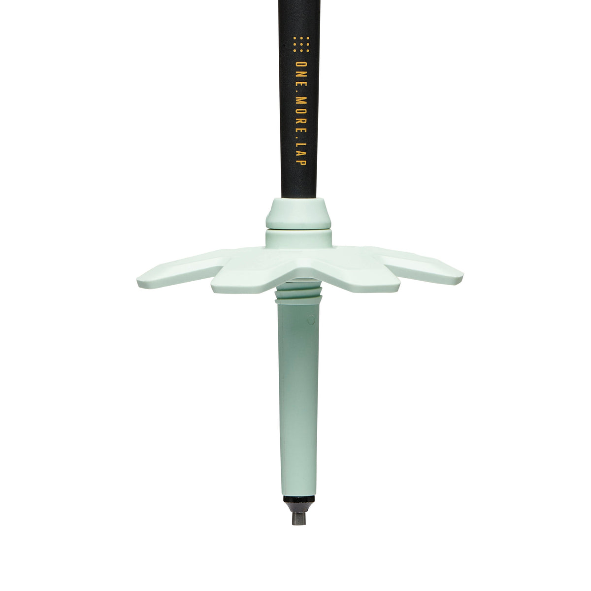 Traverse Pro Ski Poles | Black Diamond Everyday