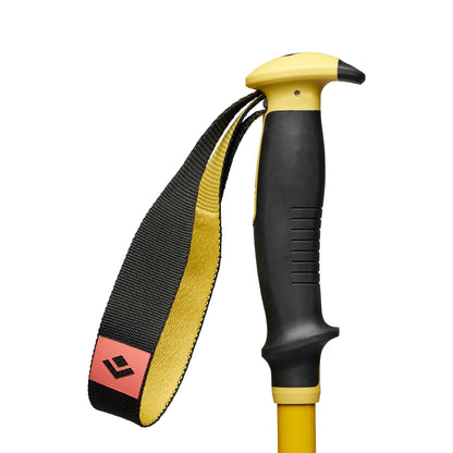 Traverse 3 Ski Poles | Black Diamond Everyday